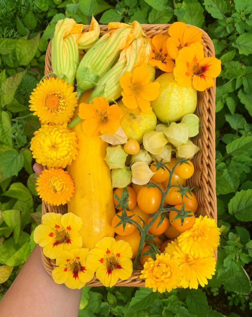bright yellow fruit and flowers